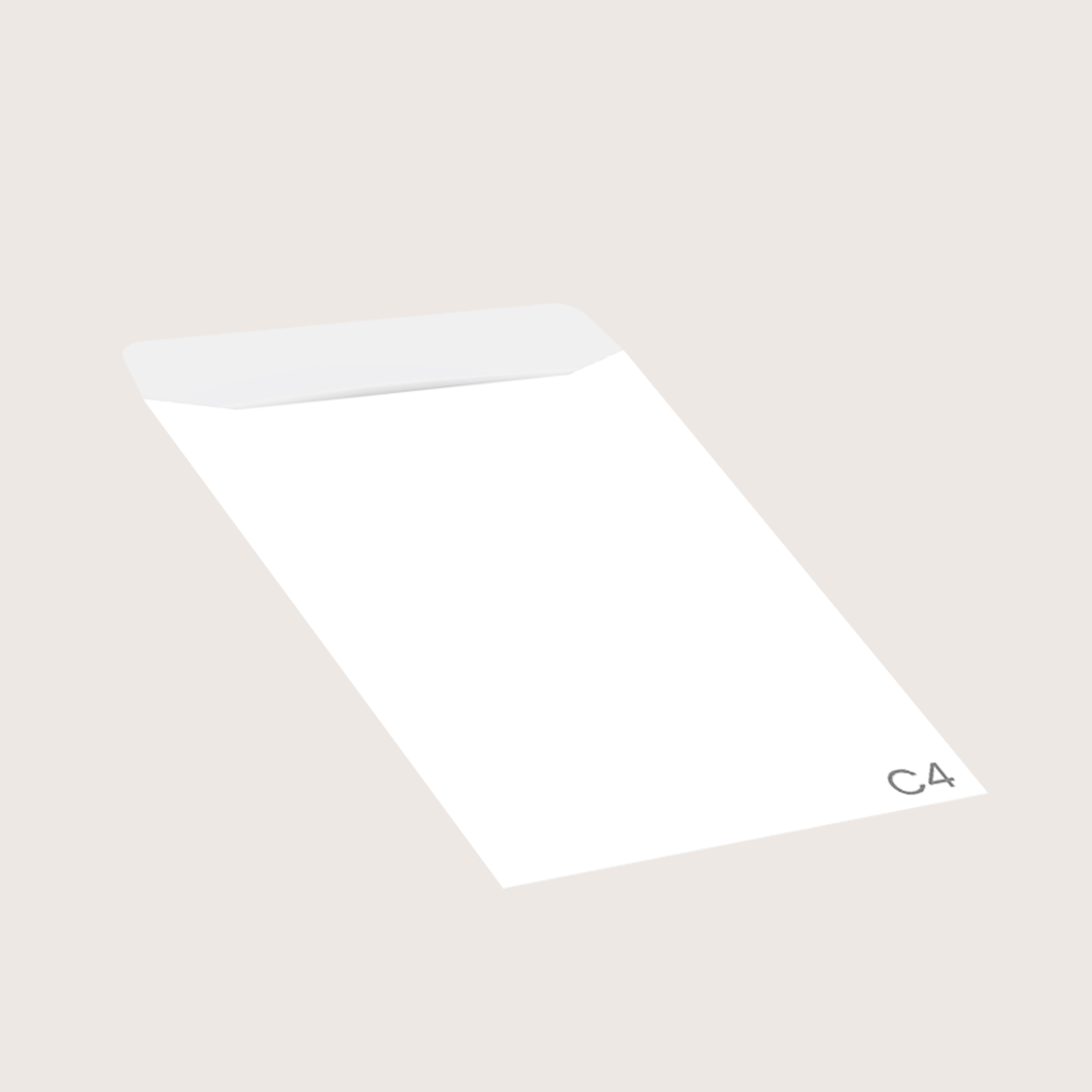 674697c4 plain envelope03.png